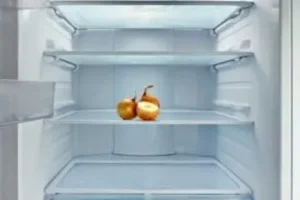 Refrigerator Cleaning