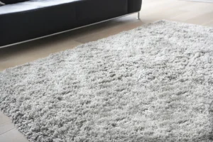 Carpet Steam Cleaning