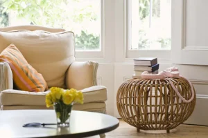 Upholstery Cleaning
