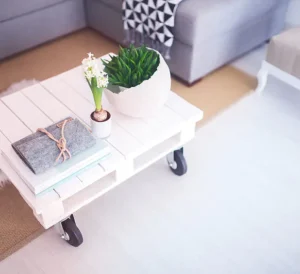 Basic House Cleaning