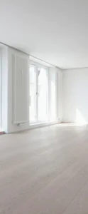 Move Out Cleaning
