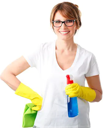 Cleaner